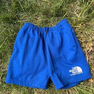 The North Face Shorts